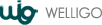 site Internet Welligo.com